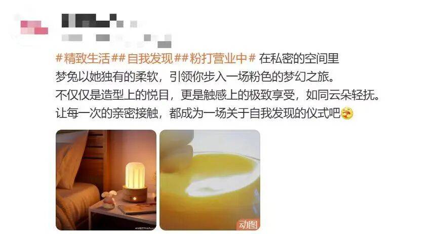 套没人买了情趣用品却卖爆了不朽情缘平台登录入口安全(图3)